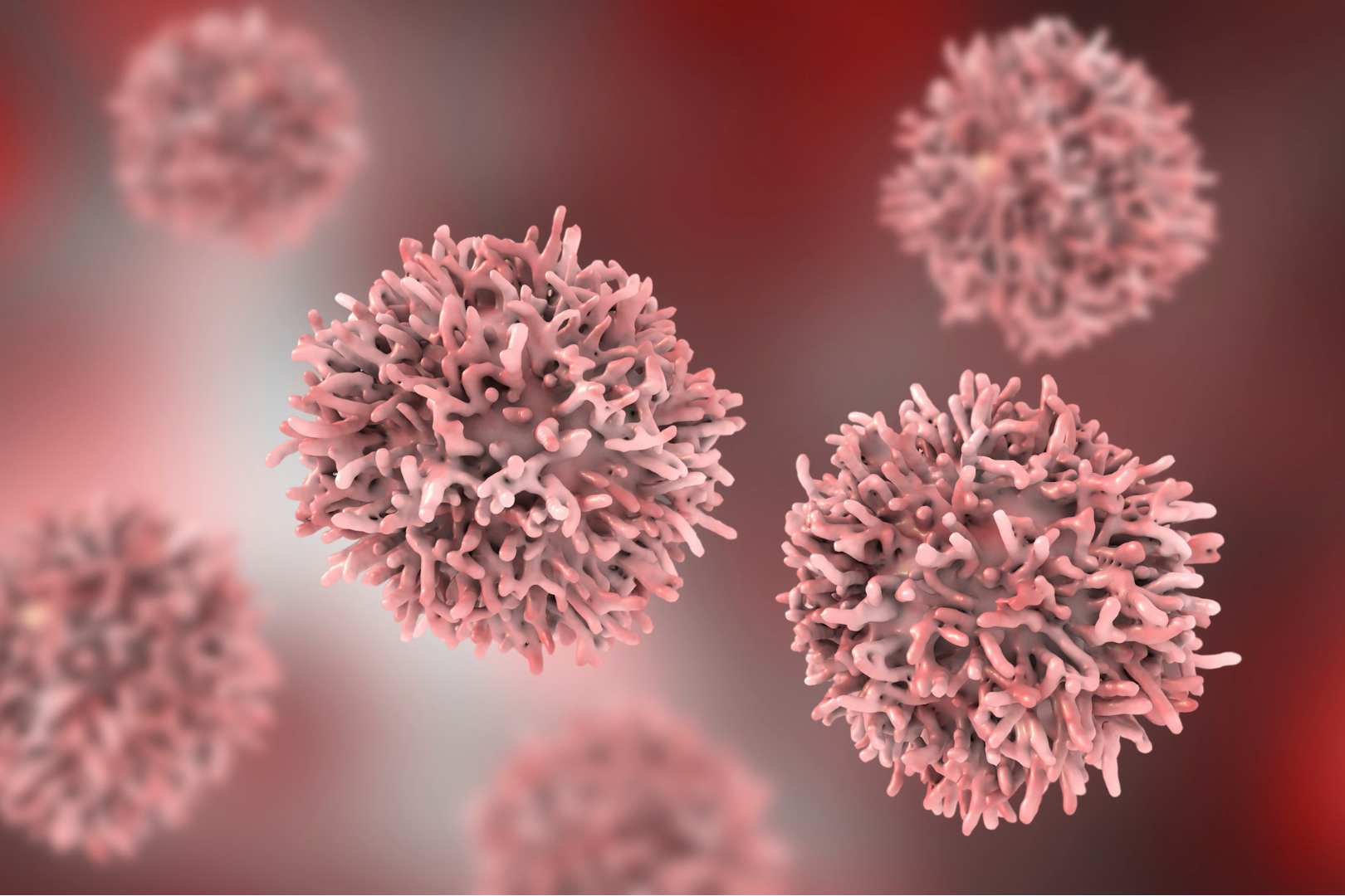 Digital representation of cancer cells