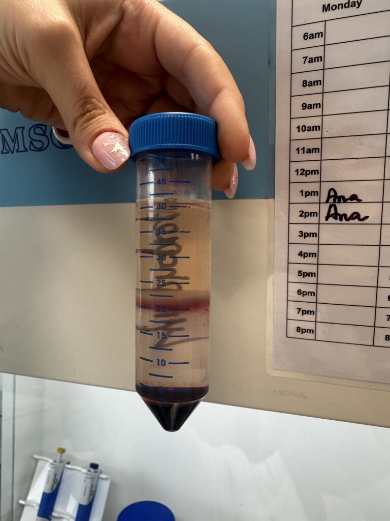 test tube in a science lab