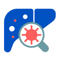 Inflammatory liver disease icon